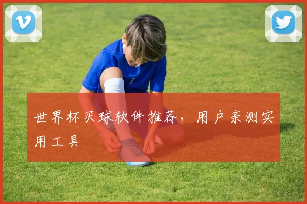 世界杯买球软件推荐，用户亲测实用工具