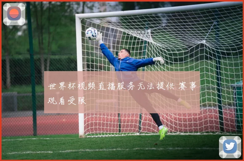 世界杯视频直播服务无法提供 赛事观看受限